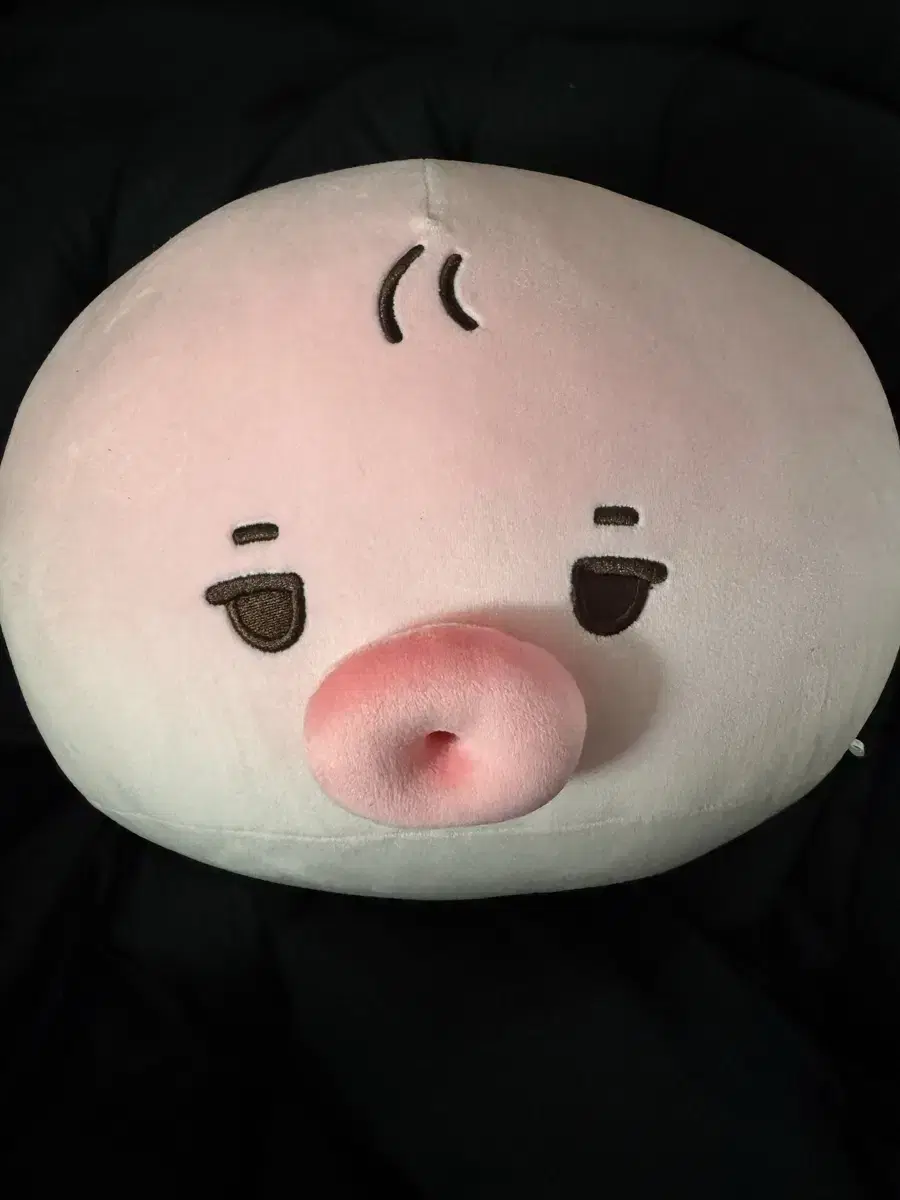 더보이즈 선우 40cm 왕 떤코 쿠션 인형